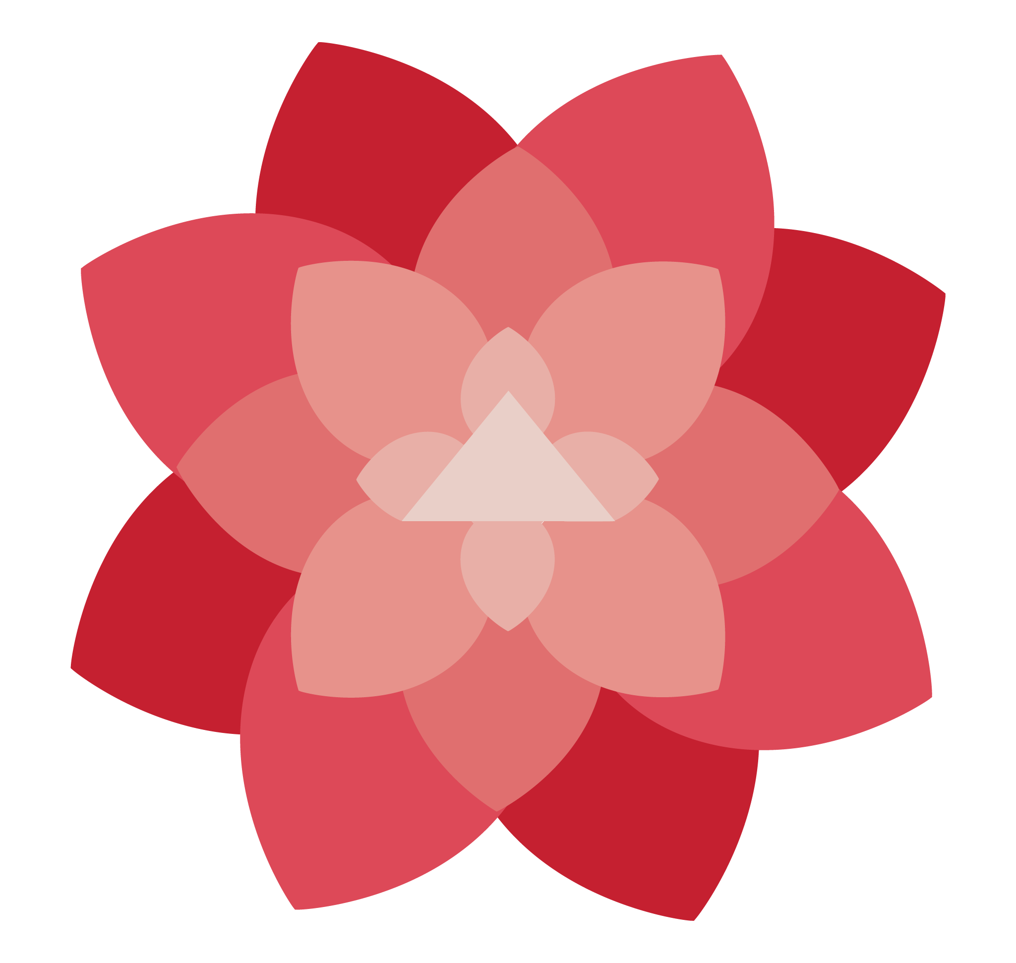 Venture Catalysts Logo